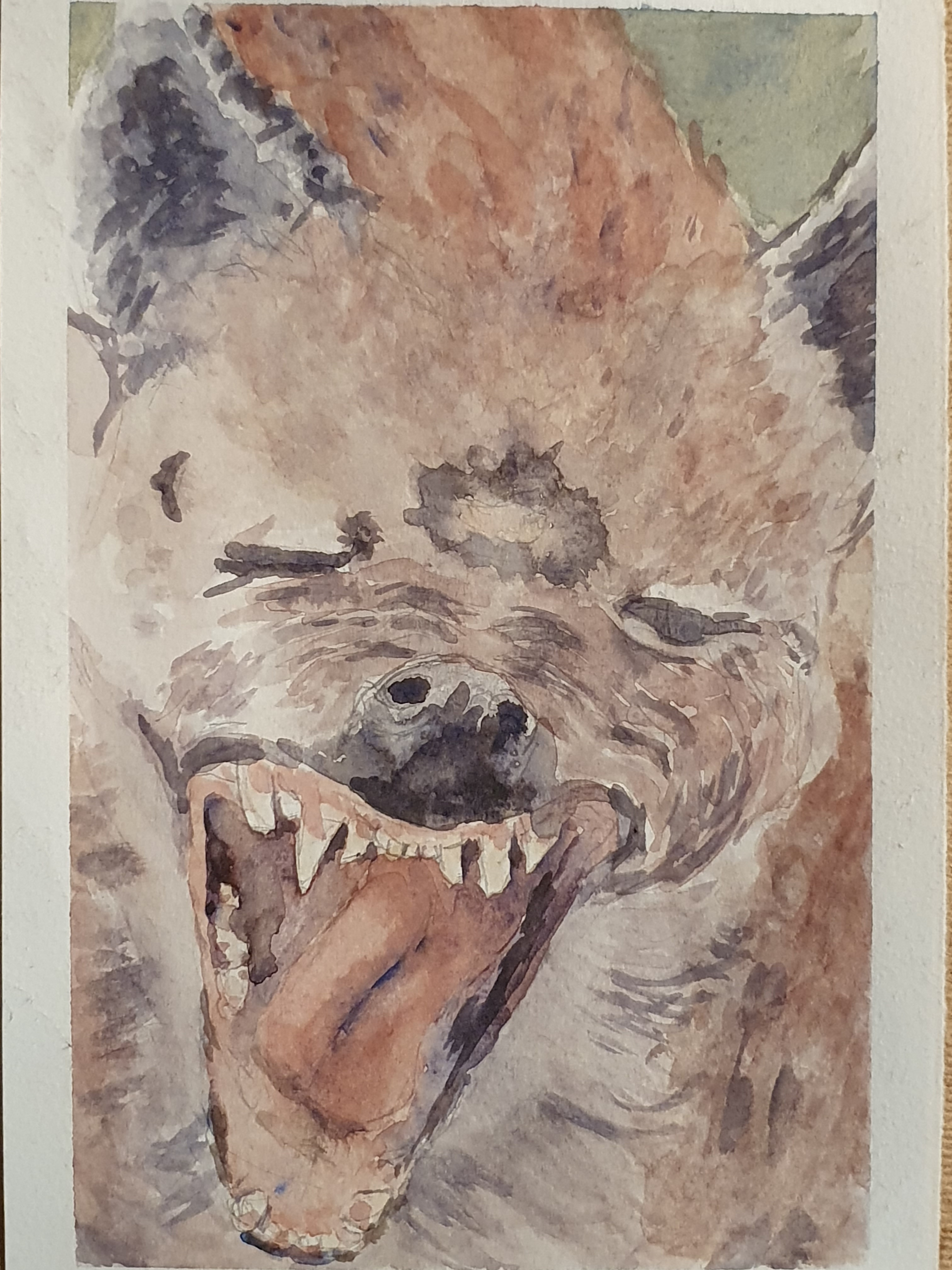 Akvarel, vild hund, 2018